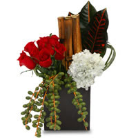 Amore Equilibrium - Regalar Rosas, Regalar tulipanes, regalar flores,regalar arreglos florales, regalar regalos